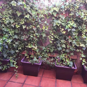 Bonito Piso Centro De Boliches Fuengirola